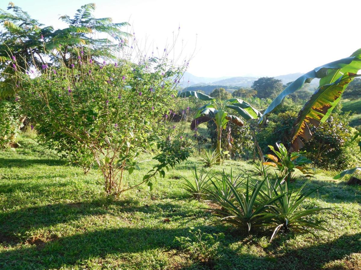 Hostal Casa Las Lajas Las Lajas  Bagian luar foto